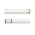 Diversey® Control de Plagas Lampara Philips Std Actinic Secura 15w - Karlan ¡Marca la Limpieza!D1223406